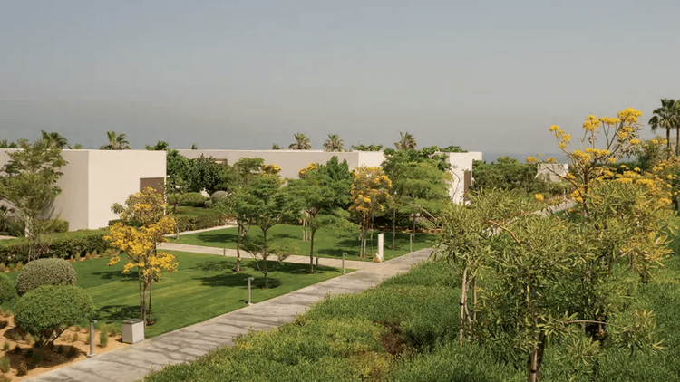 Property View 11