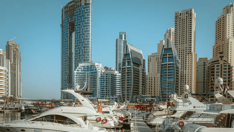 Property View 2