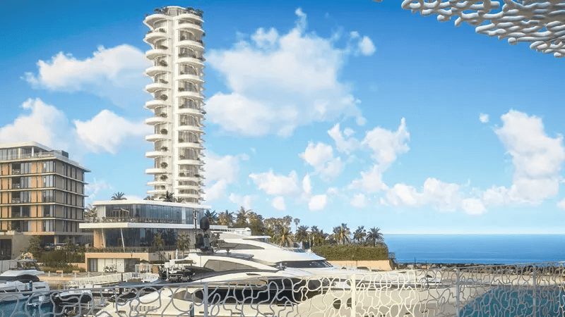 Main Property View
