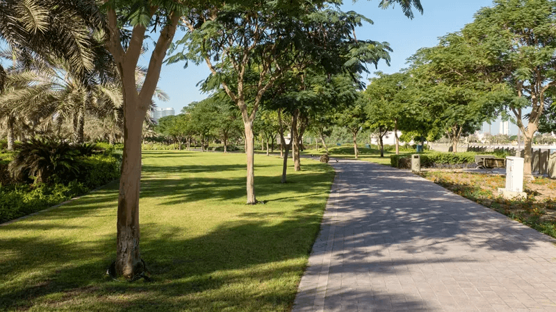 Property View 15