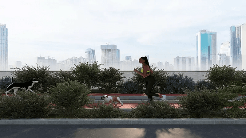 Main Property View