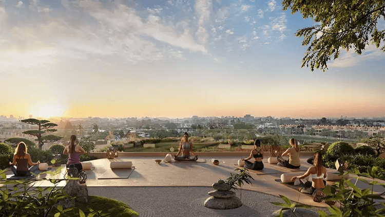 Property View 4