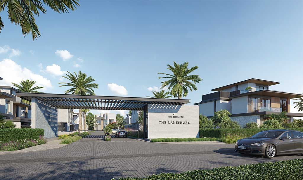 Main Property View
